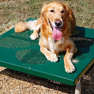 Paws / Grooming Table