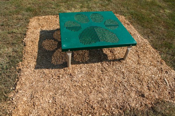 Paws / Grooming Table