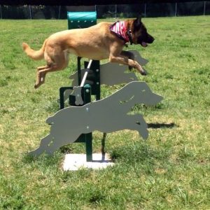 Eco-Friendly Dog Park Equipment & Supplies - KirbyBuilt Products