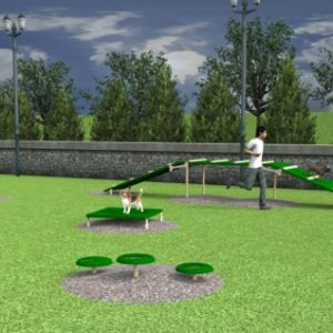 Expert Bark Park Obstacle Course