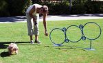 p 94106 p 101015 small hoop jump 2.gif
