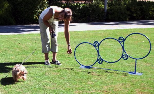p 94106 smallhoop 2