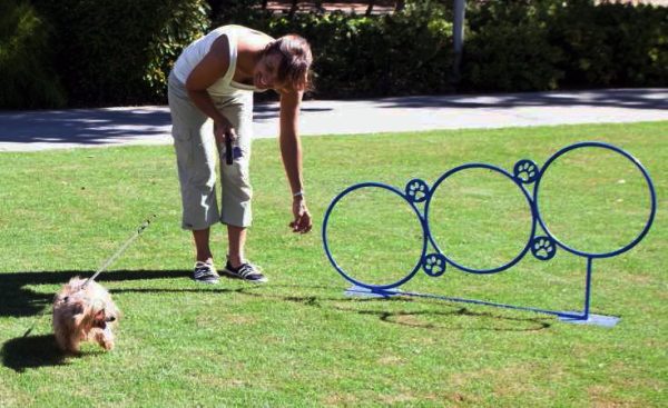 Small Hoop Jump